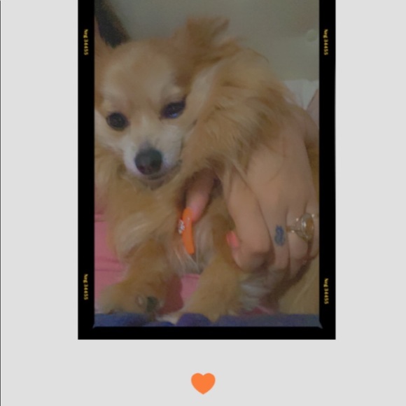 Meet Your Seller 💘🍭 - Picture 7 of 16